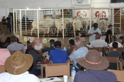 4º Leilão Top da Pecuária da Sociedade Rural será nos dias 14 e 16 de Abril